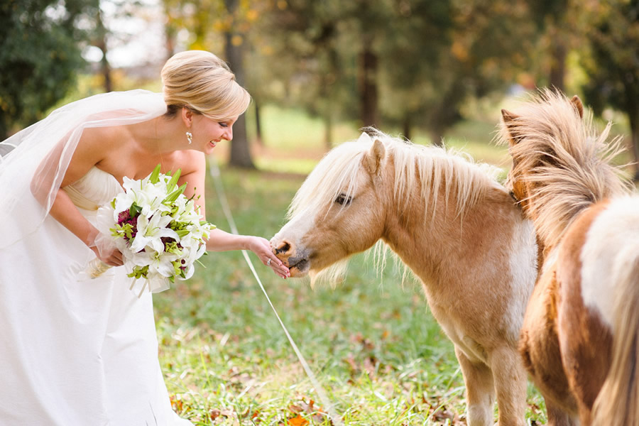 Bride with my Pony